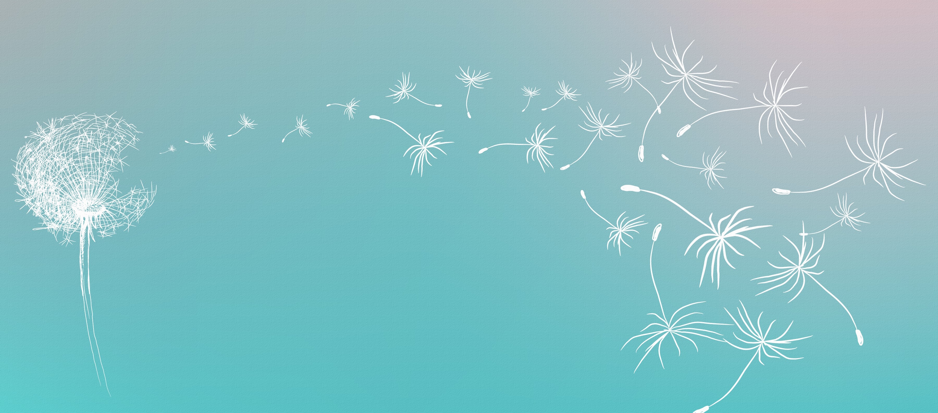 Solevent Facebook Banner